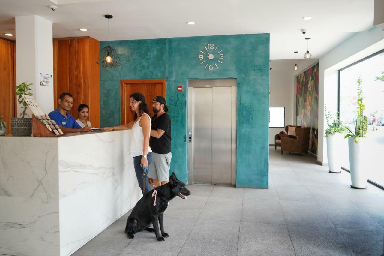 Hotel & Suites Arges - Centro Chetumal Bagian luar foto